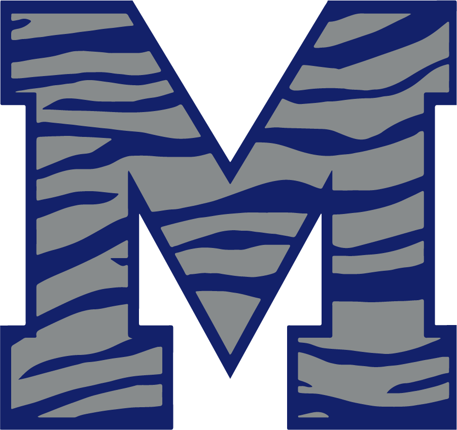 Memphis Tigers 2013-Pres Secondary Logo v3 DIY iron on transfer (heat transfer)
